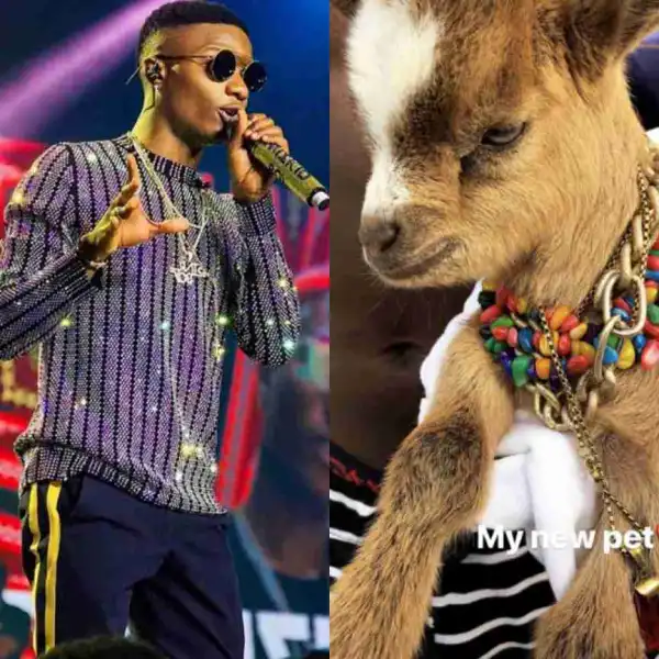 See Singer Wizkid